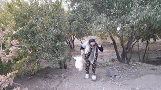 Slaughter chicken Beutfil Girl