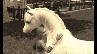 HORSE LIFE