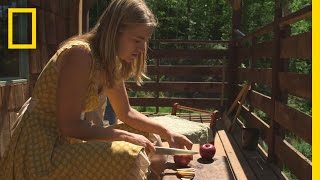 Drying Fruits and Vegetables | Live Free or Die: How to Homestead