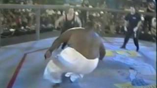 sumo wrestler gets knocked out funny
