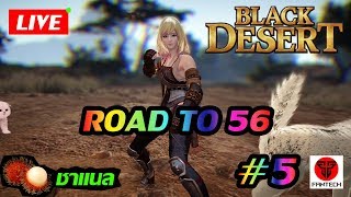 Black Desert Online : Mystic Road to 56 - BDO
