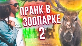 #10 Валера. Лучшие пранки за неделю.