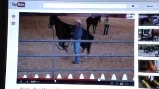 Review of Two Videos- Women Abusing Horses & Cat Jumps on Horse- Instincts & Reactions
