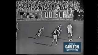 Bruce Williams - Carlton Football Club Past Player