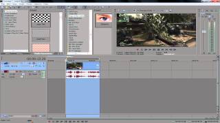 Magic Bullet Looks Error Fix (Sony Vegas Tutorial)