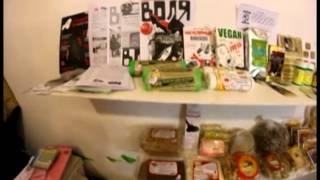 Veganbird + Pantha du Prince