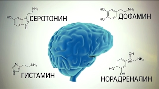 Микробы, управляющие поведением человека