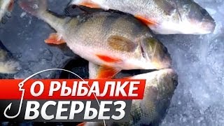 Окунь. №38 "О Рыбалке Всерьез"(слова эксперта -рус.яз).