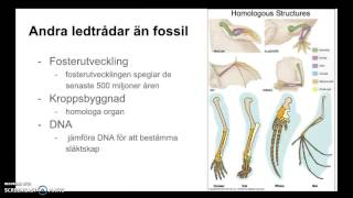 Evolutionen del 1/2 Naturkunskap2