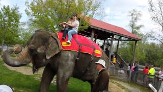 African safari elephant ride