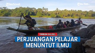 Pelajar di Enrekang Setiap Hari Menantang Maut Seberangi Sungai Untuk Sekolah