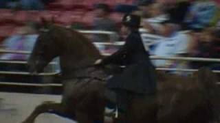 Little Boys and Girls riding big horses