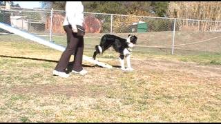 Mat training for 2 on 2 off contacts