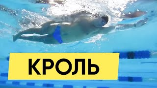 КАК ПЛАВАТЬ КРОЛЕМ? ТЕХНИКА ПЛАВАНИЯ КРОЛЬ @Swimmate.ru