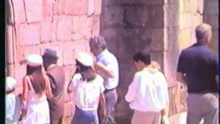 Freixo 1988