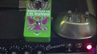 Catalinbread Pareidolia: Harmonic Mesmerizer