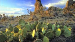 Relax deeply- Georgia Kelly- Marupavana (purifying wind of the desert)