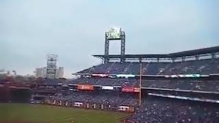 Elwyn Phillies 2013