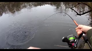 Graphiteleader Tiro EX GOTXS-762L Perch & Pike Fishing