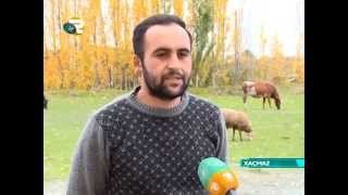 Xaçmazda maldarlıq təsərrüfatları və süd və ət məhsulunun bazara çıxarılması