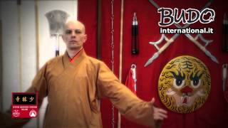 Shaolin: Tecniche spiegate da Shi Heng Chan (Shaolin Training Techniques #4)