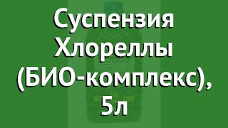Суспензия Хлореллы (БИО-комплекс), 5л обзор 310372 производитель Био-Комплекс ООО (Россия)