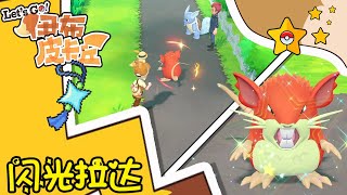 【LIVE】Pokémon Let's Go Pikachu! and Eevee! | Shiny Raticate 红色小老鼠闪光拉达