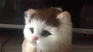 Brinquedo Gato de Pelúcia que mia