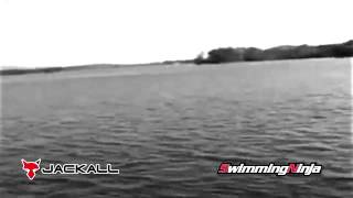 Jackall® Swimming Ninja G90 - Depesca.com