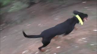 2788