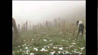Jylkyshlar - airvideo.m4v