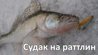 Ловля судака на раттлин