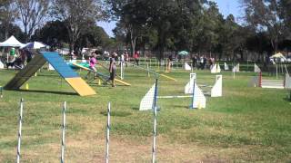 Kara & Dillon, DASH 10/12/2014 Standard