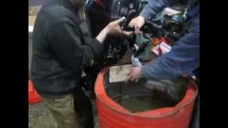 Четырехтактный лодочный мотор Suzuki DF9.9AS (первый запуск)