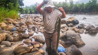 Tradisional : Menangkap Belut sungai Deras | Saluran Tradisional