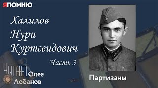 Халилов Нури Куртсеидович. Часть 3. Проект "Я помню" Артема Драбкина. Партизаны.