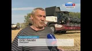 Новосибирск - уборка урожая 2015