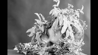 Duane Dichals 1