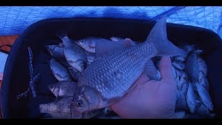 Ловля Крупного КАРАСЯ Зимой со льда! Ночная рыбалка! Много Крупногокарася и маленько мелочи!