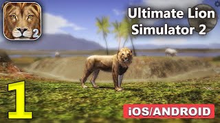 Ultimate Lion Simulator 2 Gameplay Walkthrough (Android, iOS) - Part 1