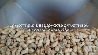 Συγκομιδή & επεξεργασία αράπικου Φυστικιού Αμμουδιάς 2016
