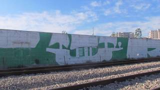 ULTRAS Graffiti | Maccabi Haifa