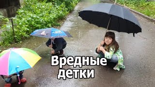 Непослушные детки сходят с ума, обижают собак / Мака в шоке