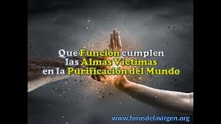 Que Función cumplen las Almas Víctimas en la Purificación del Mundo