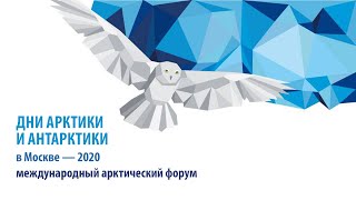 АРКТИКА: ПРОСТРАНСТВО КУЛЬТУРЫ. Интервью. Яна Шклярская