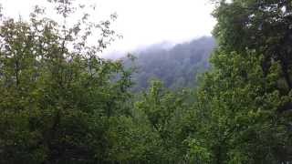 Դիլիջան, Dilijan