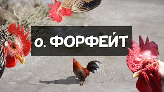 ОСТРОВ ФОРФЕЙТ: ДУША, МАУНТ, МОКОКО  | Гайд | LOST ARK