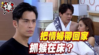 《多情大爆爆》多情城市 EP319 把情婦帶回家 抓猴在床？