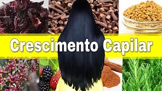 ERVAS PARA O CRESCIMENTO CAPILAR -  Ep.8