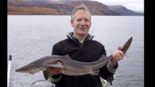 Fishing, boating and camping in the Loch Etive wilderness